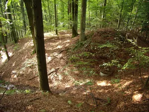 Burgstall Waseneck