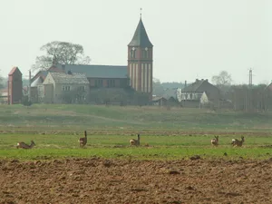 Saint Nicholas church in Szczedrzyk