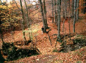Erichsburg