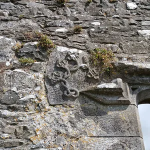 Tullaroan Church ruin