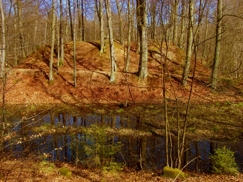 Motte-and-bailey of Laudert. Picture taken from the southeast.
