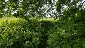 Belgium-Netherlands boundary stone no. 84a