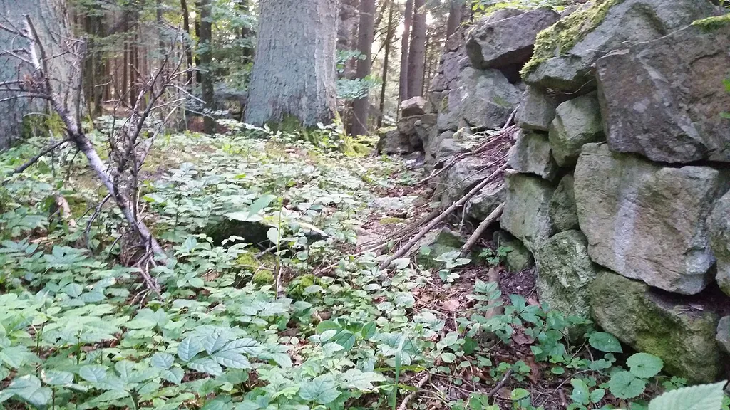 Burgruine Rotenzimmern, Dietingen