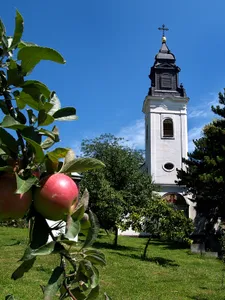 Church of the Presentation of the Theotokos, Inđija