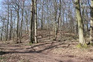 Wall section of the Erdener Burgberg