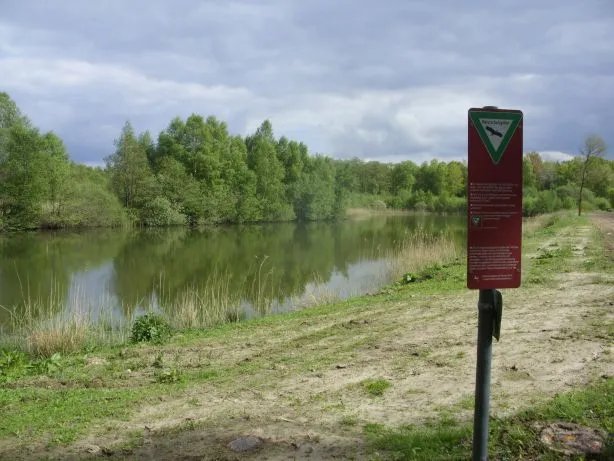 Bäken der Endeler und Holzhauser Heide