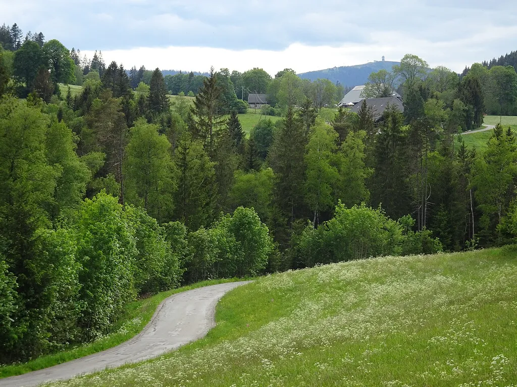 Hochschwarzwald um Hinterzarten