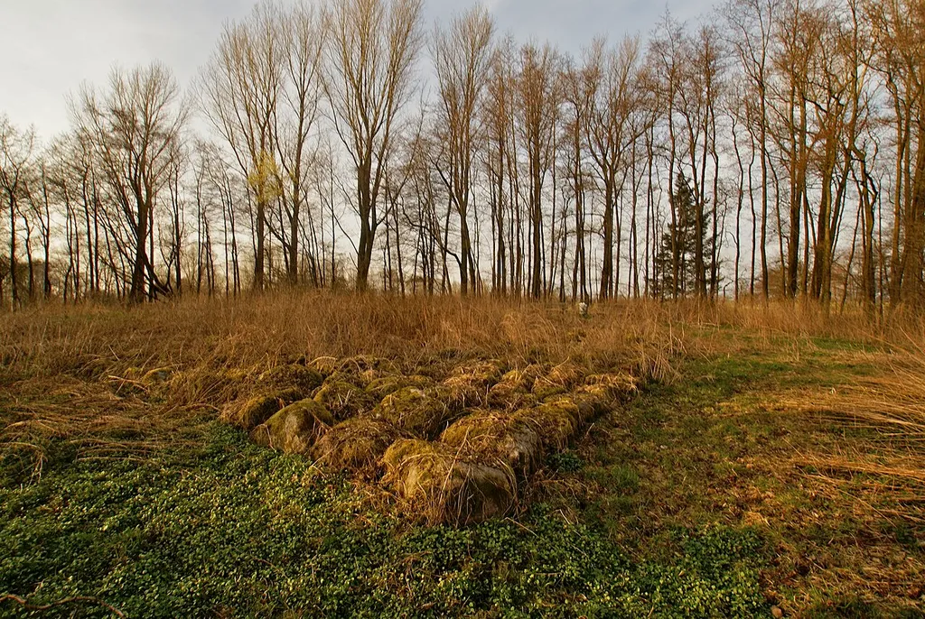 Bargfeld-Stegen, Germany: The ruins of the foundations of Burg Stegen