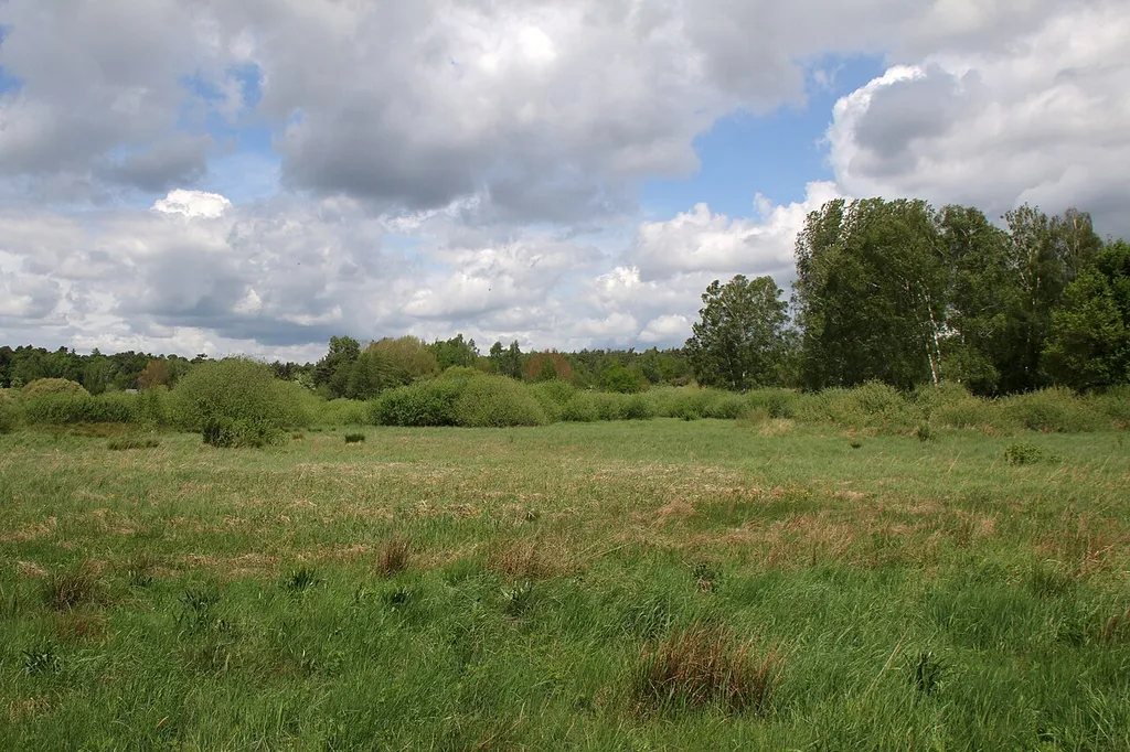 Das große Hörmes bei Dieburg von Süden aus gesehen. This is a picture of the protected area listed at WDPA under the ID 162707