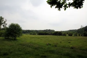Fohlenweide von Dieburg