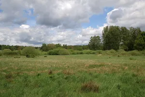Das große Hörmes bei Dieburg