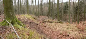 Beusterburg