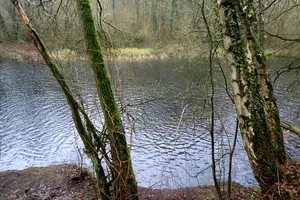 Finkenburg