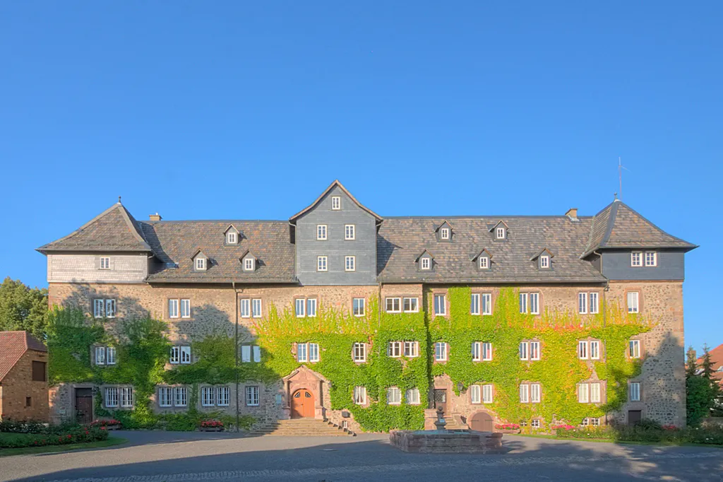 Die Anfänge des Lauterbacher Schlosses gehen auf das Jahr 1266 zurück. In der Urkunde über die Erhebung Lauterbachs zur Stadt wird ein „propugnaculum vel turrim“, ein „Bollwerk“ oder „Befestigungsturm“ erwähnt. Die Burg mit ihren Mauern und umgebenden Gebäuden verstärken die westliche Flanke der Stadtbefestigung. In der Burg befindet sich heute die Verwaltung der Freiherren Riedesel zu Eisenbach und das riedeselsche Archiv.