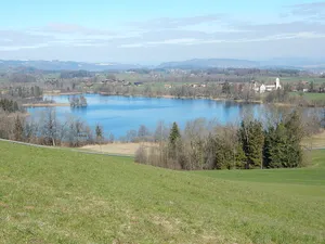 Amsoldingersee