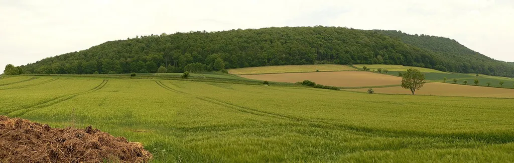 Amelungsberg mit der Amelungsburg