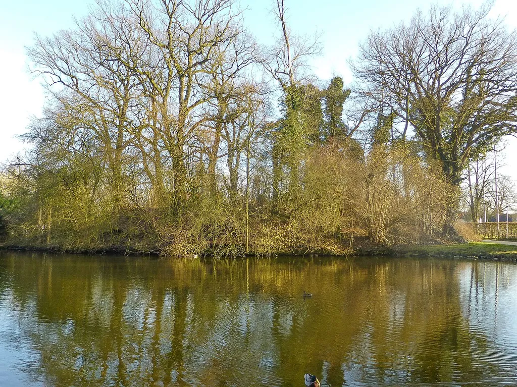 Der Mottenhügel von Burg Gröneberg von Nordwesten