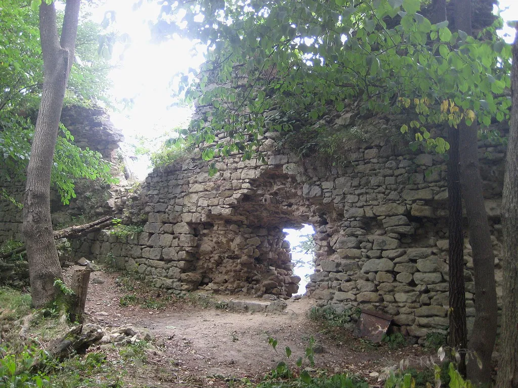 Obřany Castle