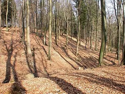view to the Schnippenburg from south