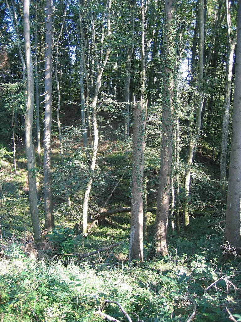 Location of Zange Castle