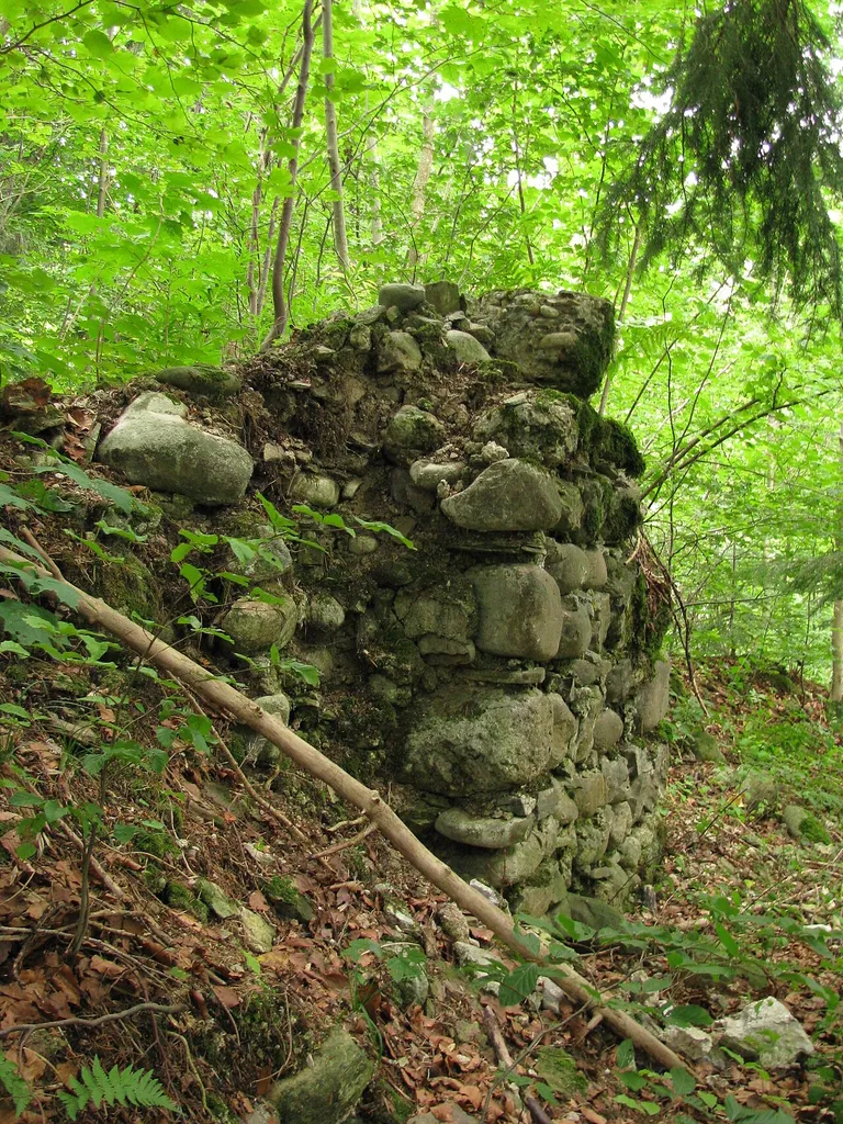 Burgruine Burgkranzegg; Mauerreste.