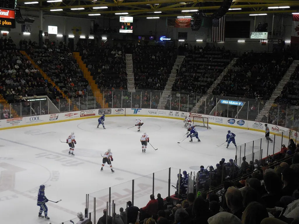 Cool Insuring Arena