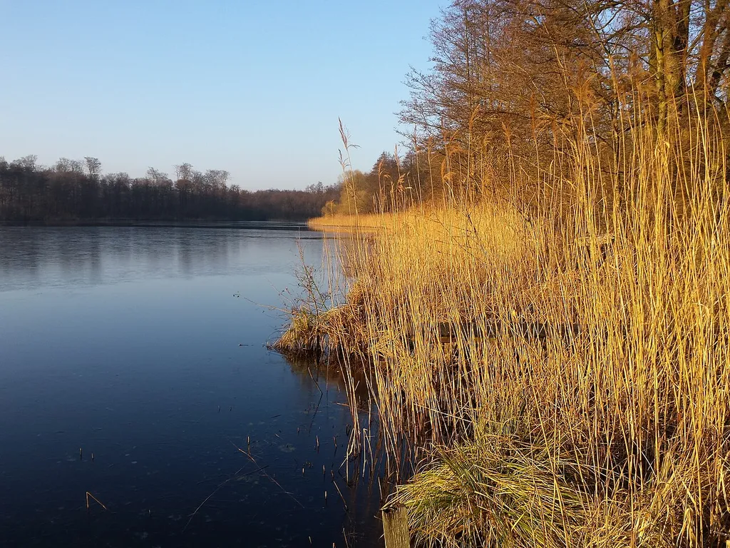 Dalbergkuhle