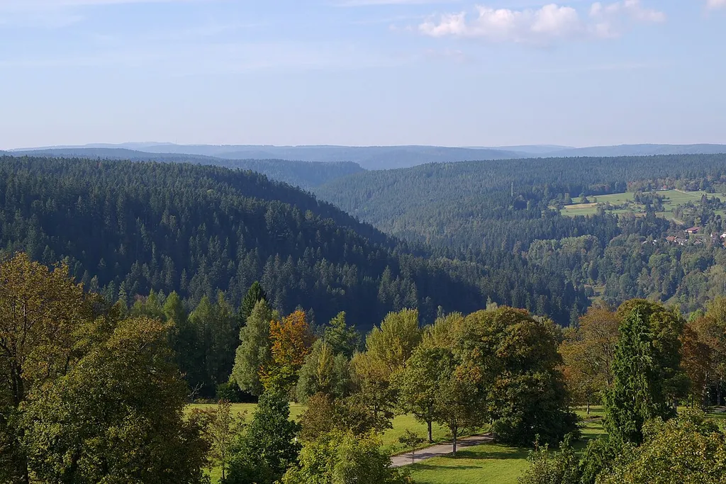 Der gekrümmte Taleinschnitt des Forbachs bei Freudenstadt; Blick vom Friedrichsturm auf dem Kienberg. Naturpark Schwarzwald Mitte/Nord, im Vordergrund das Landschaftsschutzgebiet Kienberg (2.37.022). Links am Horizont die Hornisgrinde, der höchste Berg des Nordschwarzwalds. Einige der weiteren Berge in der Horizontlinie gehören zum Nationalpark Schwarzwald.
