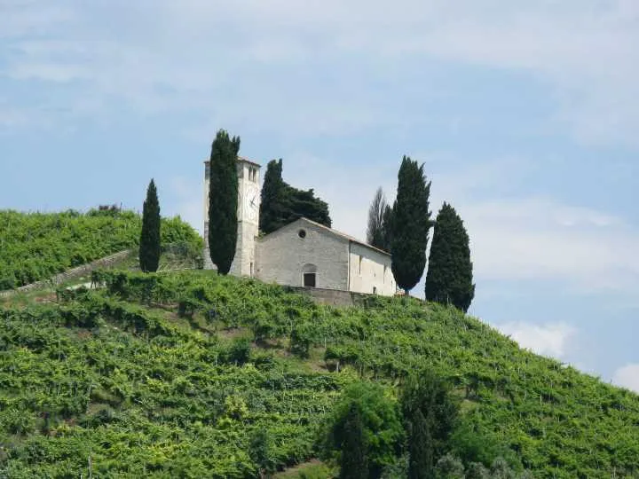Chiesa di San Vigilio, con intorno vitigni coltivati a Prosecco.