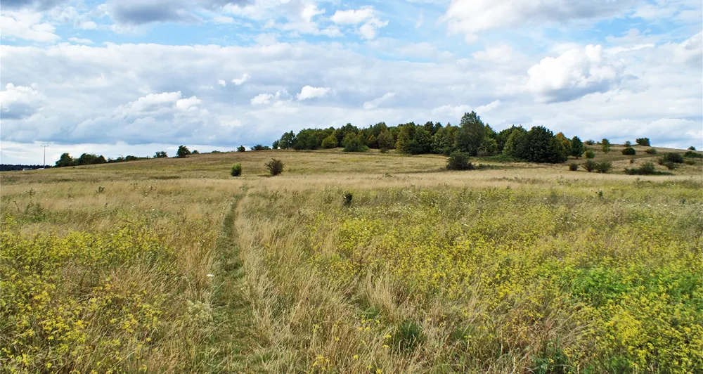 Landschaftsschutzgebiet Münchshofer Berg (Stadt Teublitz), eine typische Landschaft im Oberpfälzer Jura