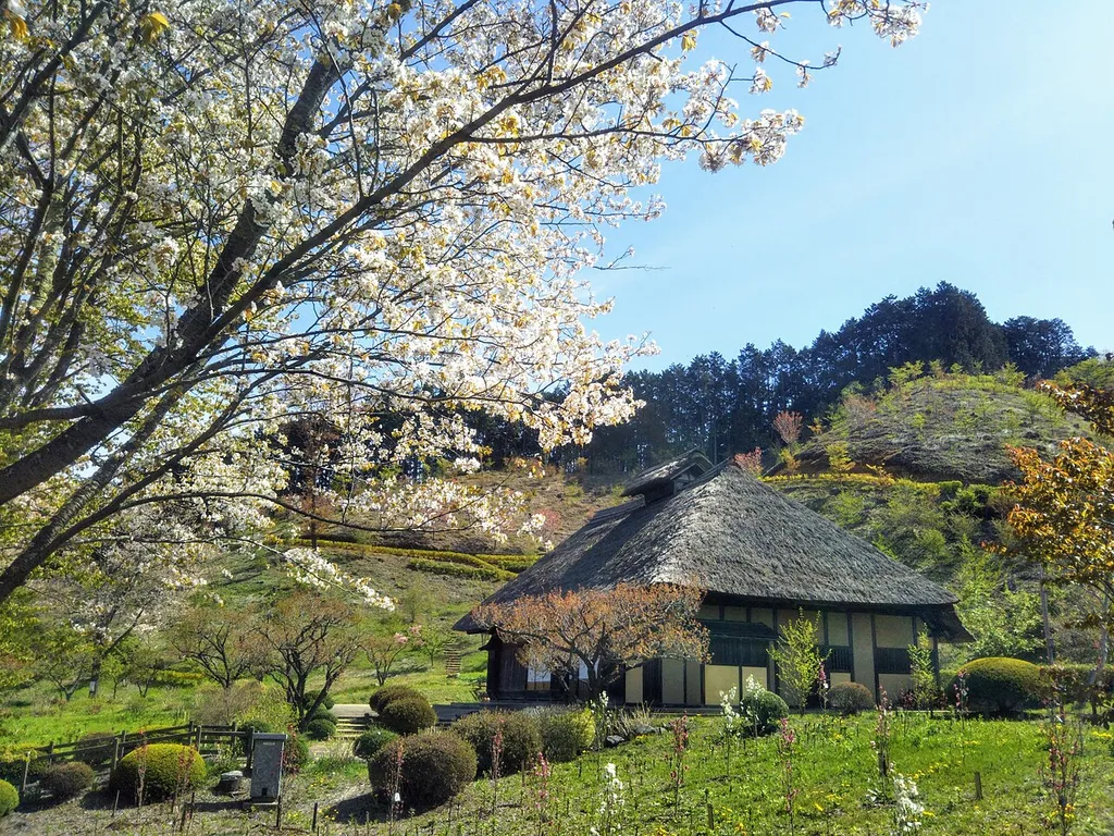 Shirakawa Sekinomori Park
