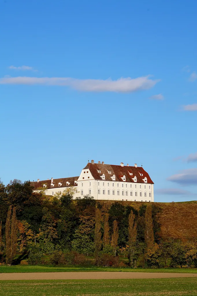 Schloss Juliusburg