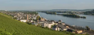 Rüdesheim am Rhein