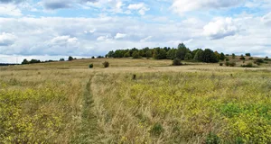 Oberes Naabtal: Münchshofer Berg mit Brunnberg von Burglengenfeld