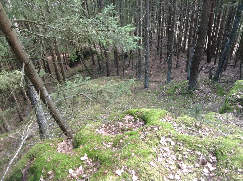 Hauptfelsen des Burgstalls mit schüsselförmigen Vertiefungen am Rand, mit Blick über den östlichen Abhang des Bergsporns