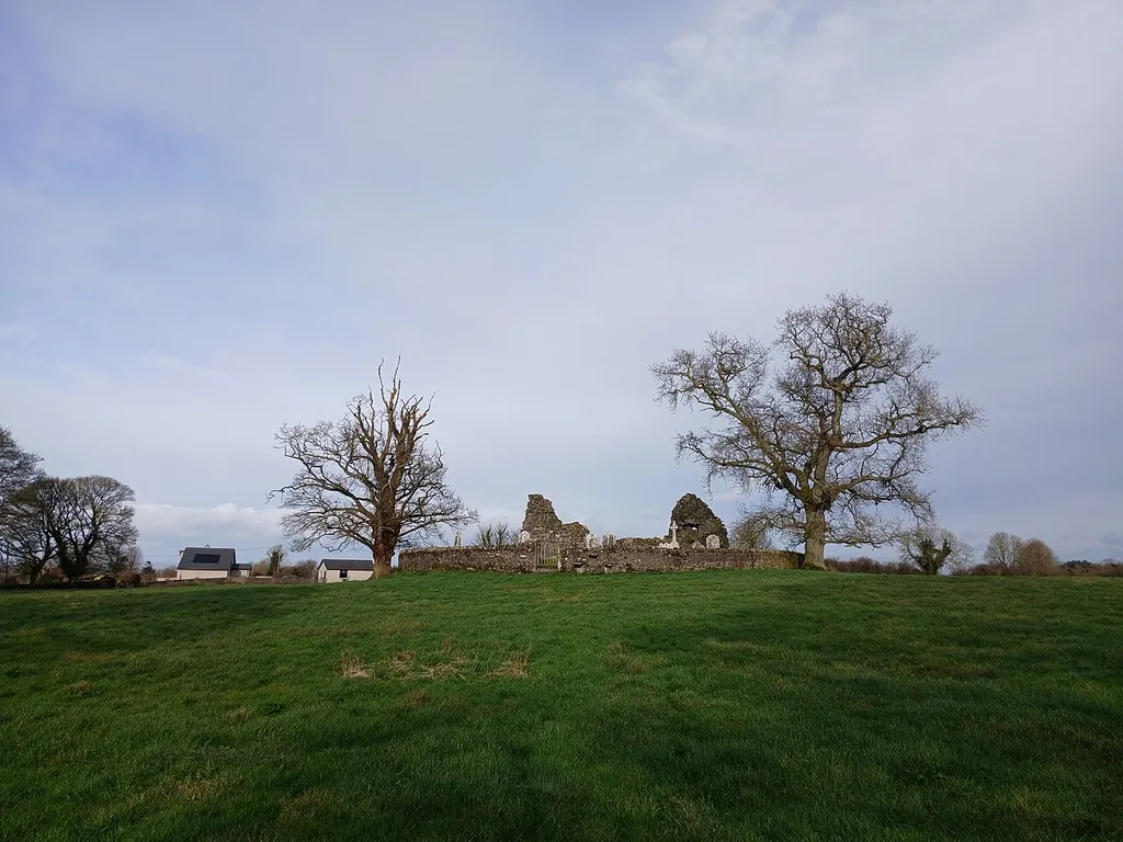 Stonecarthy Church (church ruin in Stonecarthy East, County Kilkenny)