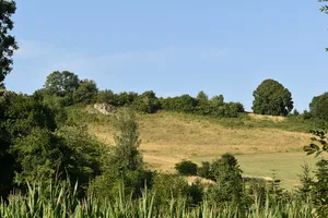 Butterberg und Hopfenbusch bei Bartolfelde