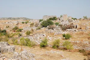 Btirsa