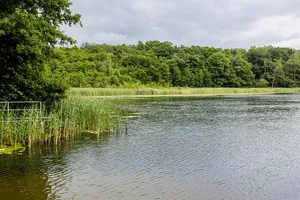 Zierker See