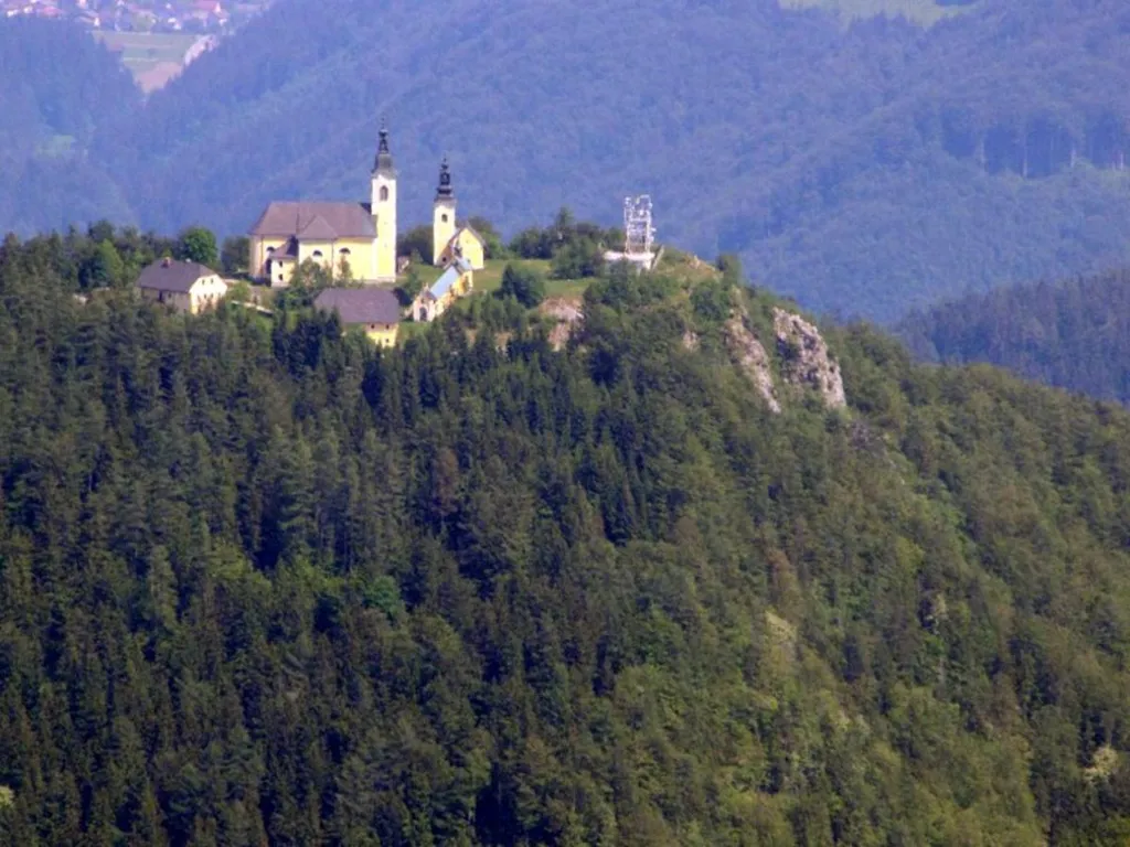 Dlakavolistna homulica v Sv. Križu pri Mozirju.