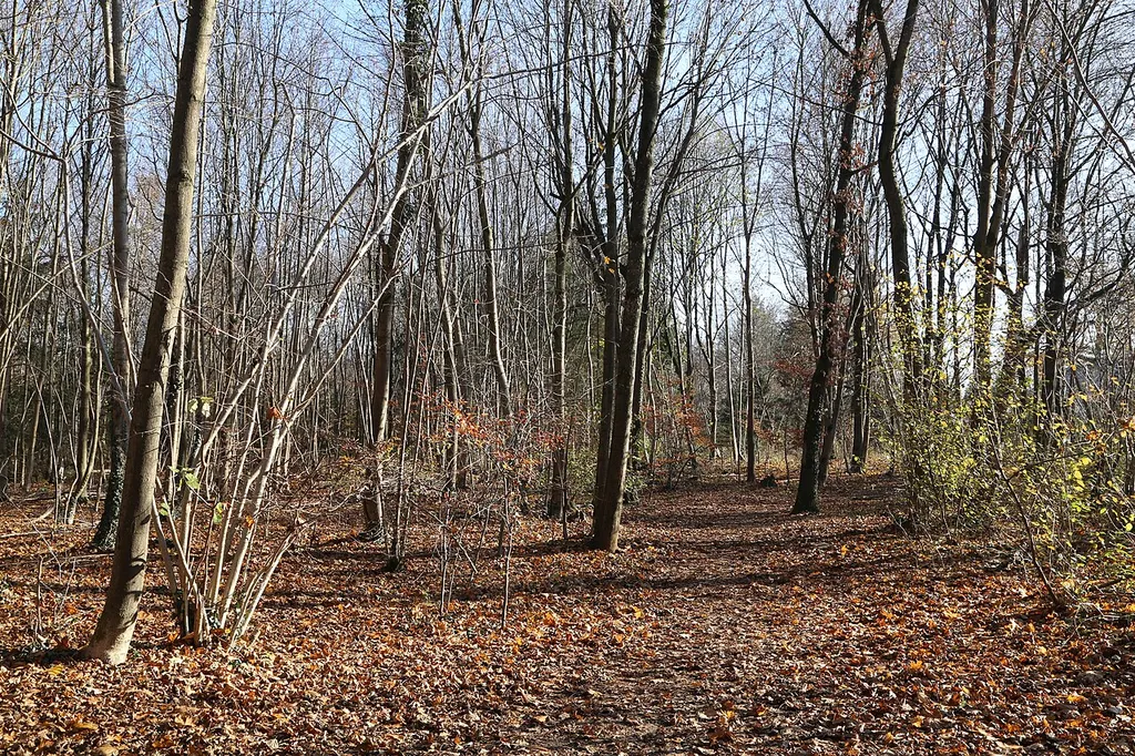 LSG Bahnhofswald im Gebiet der Gemeinden Neubiberg und Ottobrunn