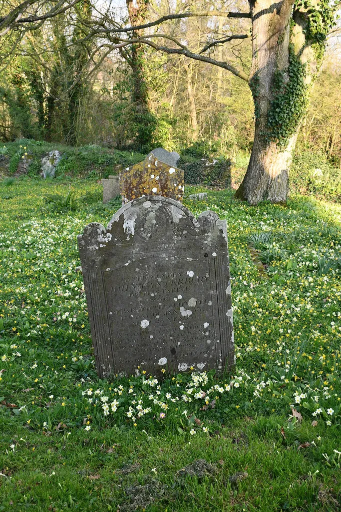 Farringdon, Devon