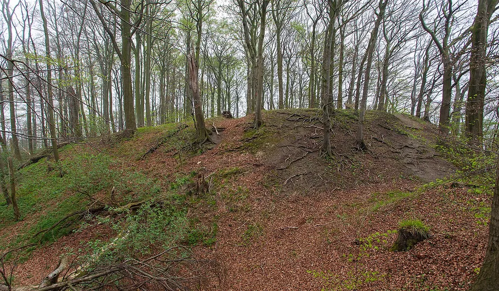 Die Burg Hohenrode (Hünenburg Hohenrode) bei Rinteln-Hohenrode, Landkreis Schaumburg, Niedersachsen. Ansicht von Nordwesten auf das Burgareal, im Vordergrund der Burggraben.