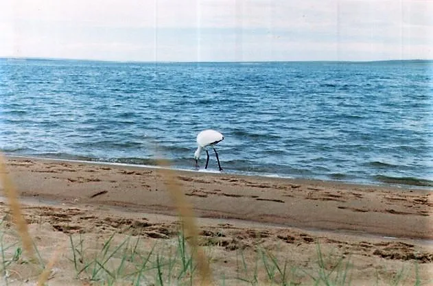 Tore-Khol Lake