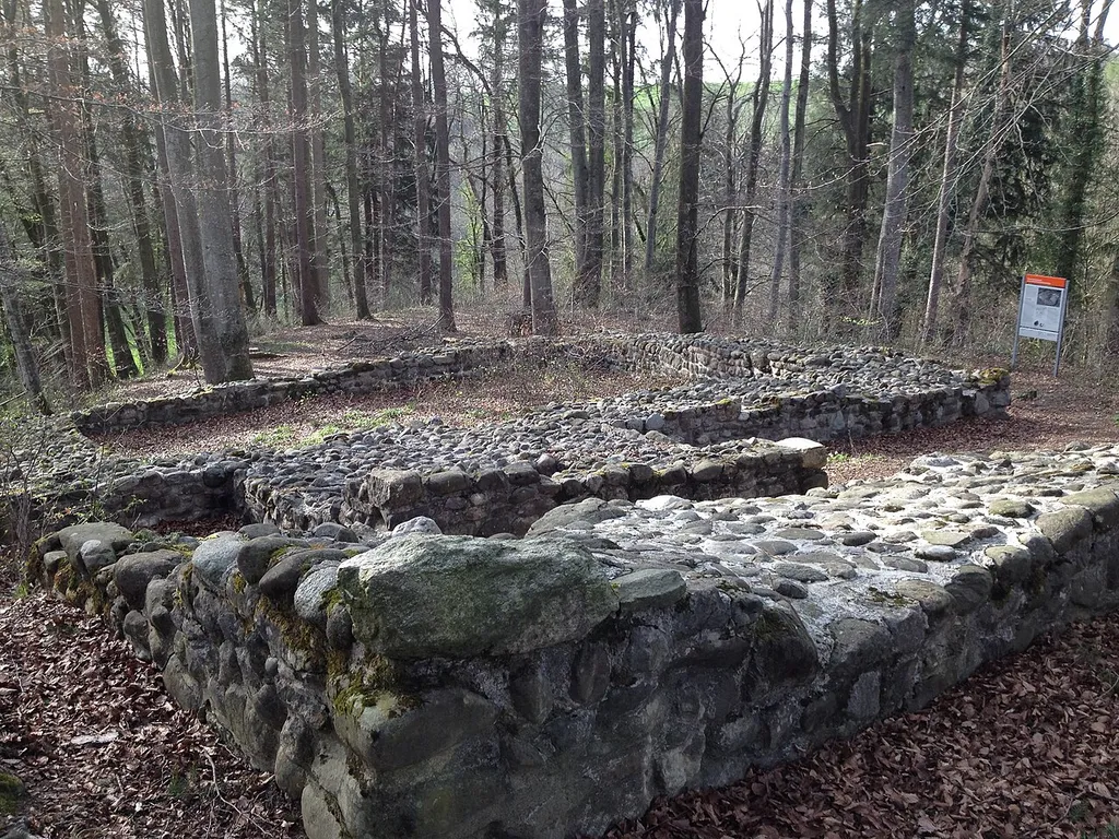 Burgruine Schleifenrain bei Hugelshofen (Thurgau)