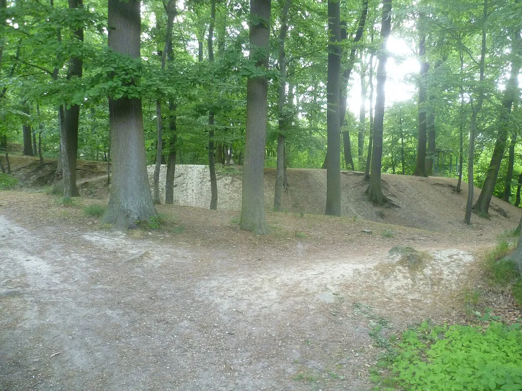 Die Schnepfenburg in Friedrichsdorf - eine Motte