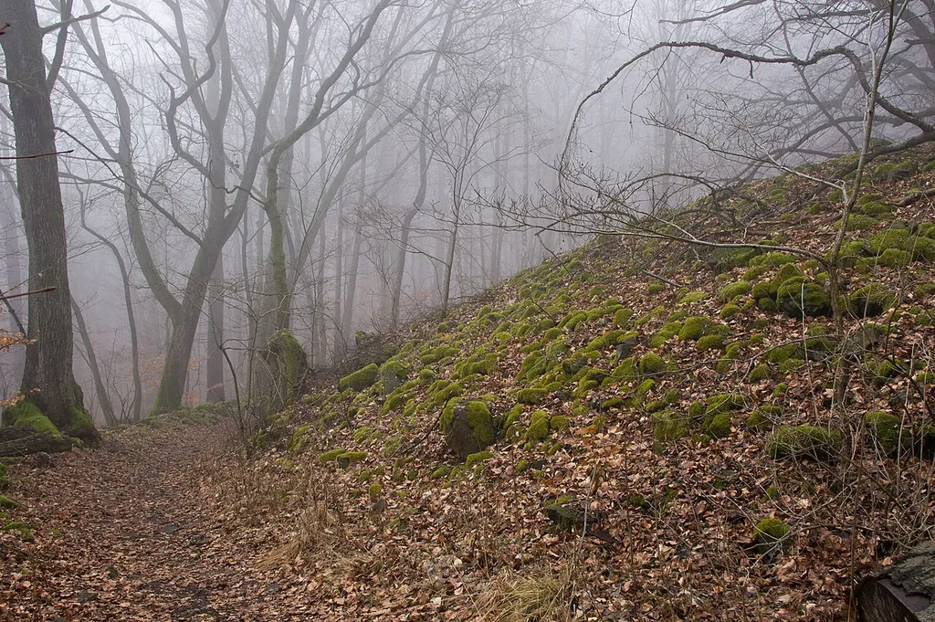 Wall around the settlement of the oppidum Steinsburg, Kleiner Gleichberg, Thuringia