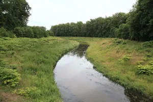 Burgaue