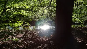 Möckern-Magdeburgerforth