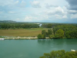 île de la Barthelasse